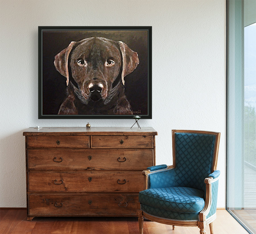 Chocolate Labrador Reproduction