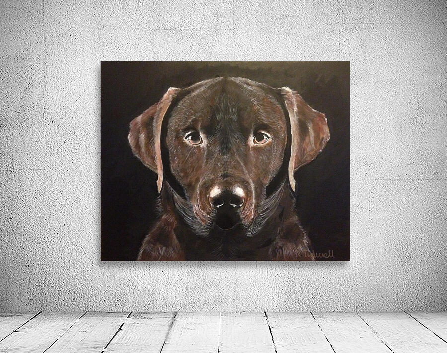 Chocolate Labrador Wall Preview