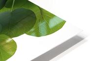 A stunning minimalist composition featuring a sin HD Metal print