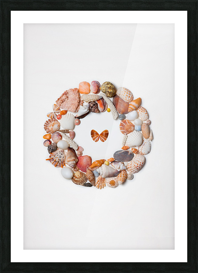 Anna_Tyshko_Circle_Seashells Picture Frame print
