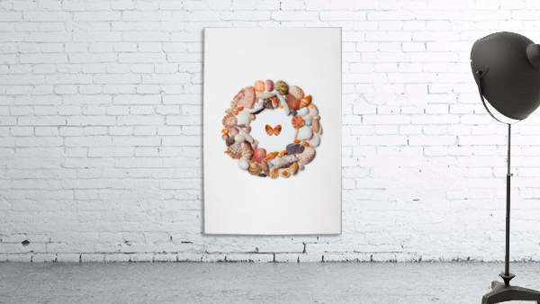 Anna_Tyshko_Circle_Seashells Wall Preview