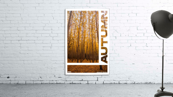 AUTUMN Wall Preview