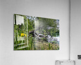 Fishhook River Acrylic Print