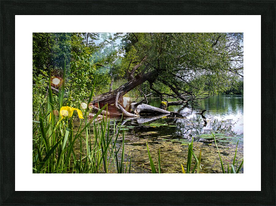 Fishhook River Picture Frame print