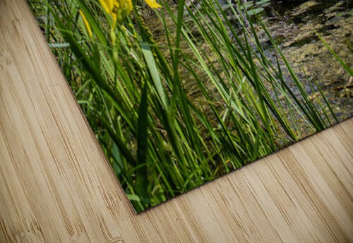 Fishhook River Jeffrey Wayne Photography puzzle