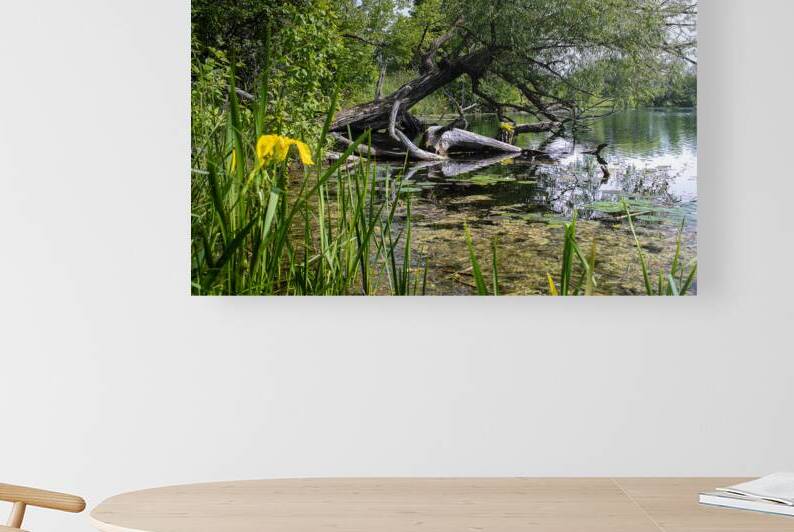 Fishhook River by Jeffrey Wayne Photography