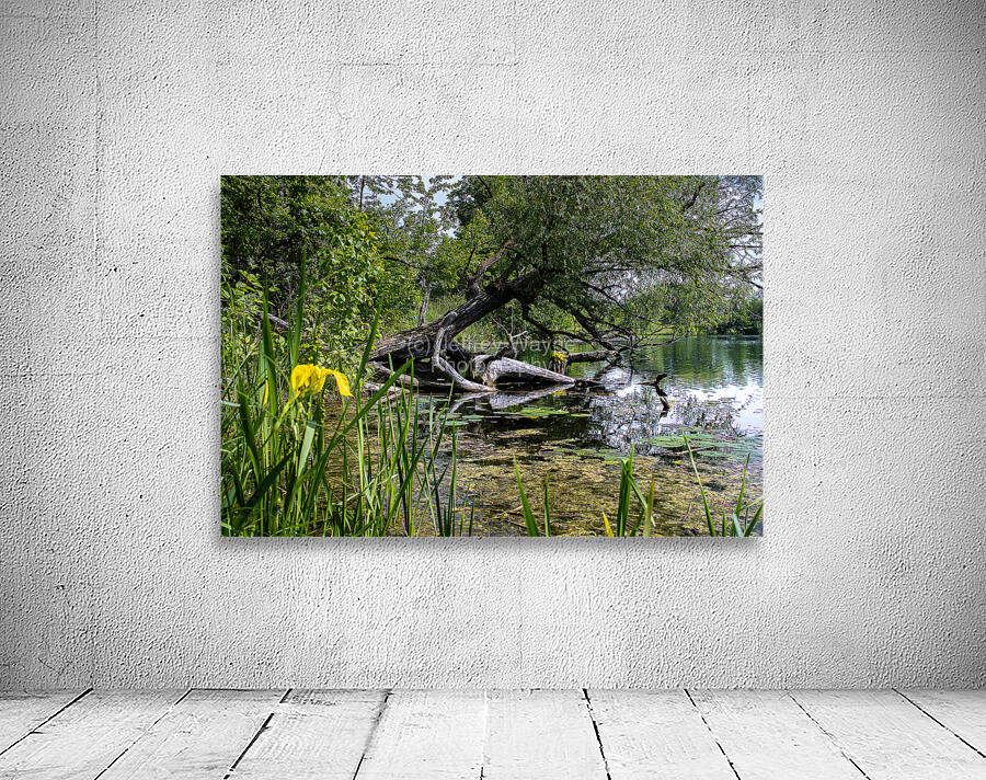 Fishhook River Wall Preview