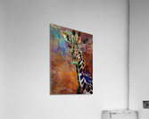 George Giraffe Acrylic Print