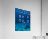 Nursery Squid Acrylic Print