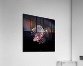 Lonely Lion Acrylic Print