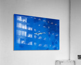Sun Remora Acrylic Print