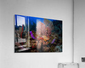 Sponge City Acrylic Print