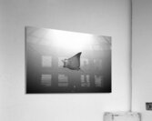 B & W Eagle Ray Acrylic Print