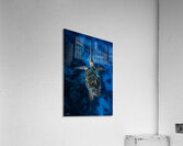 Deep Hawksbill Acrylic Print