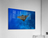 Aerial Acrylic Print