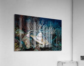 Reef Crown Acrylic Print