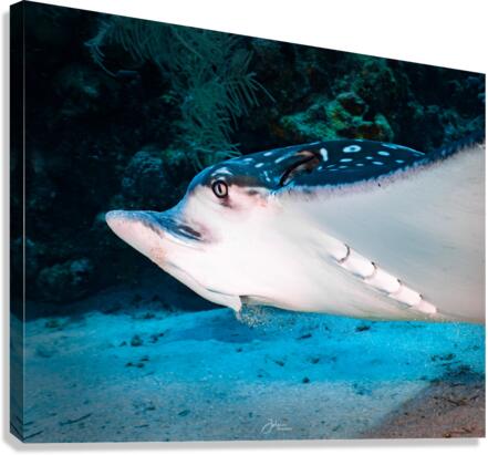 Shifting Sands Canvas Print