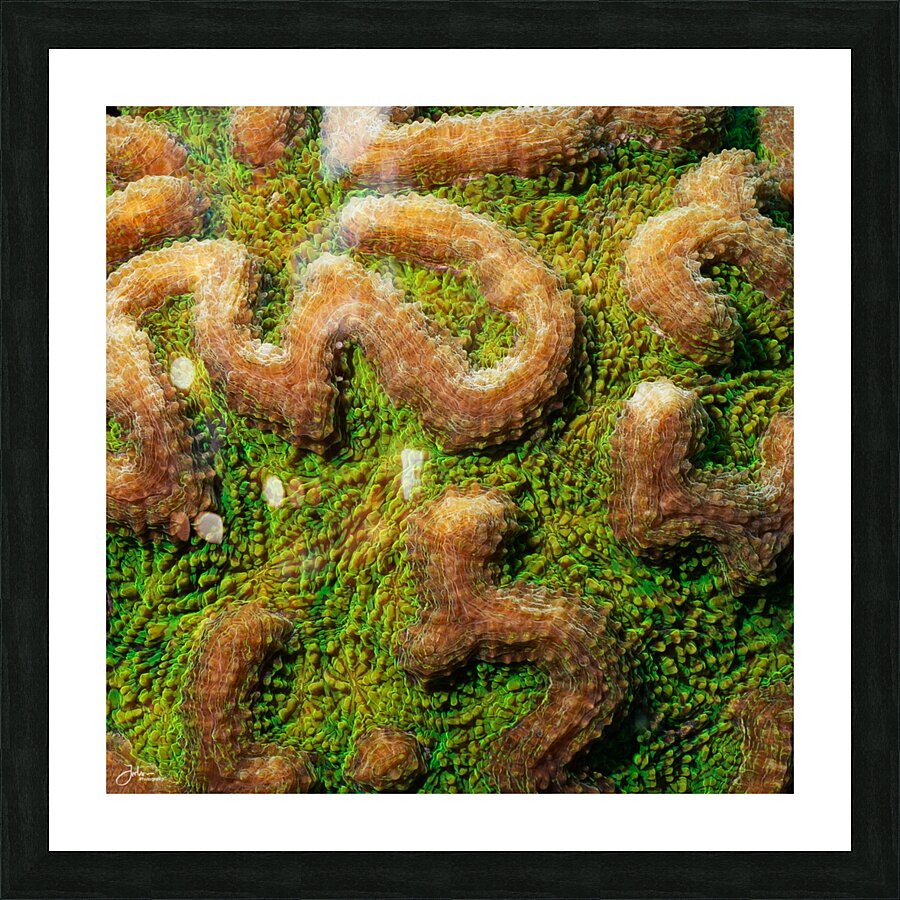 The Maze Picture Frame print
