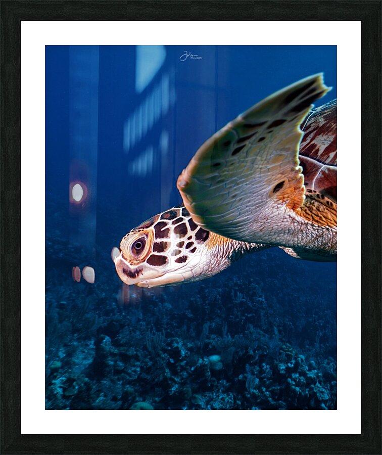 Side by side Picture Frame print