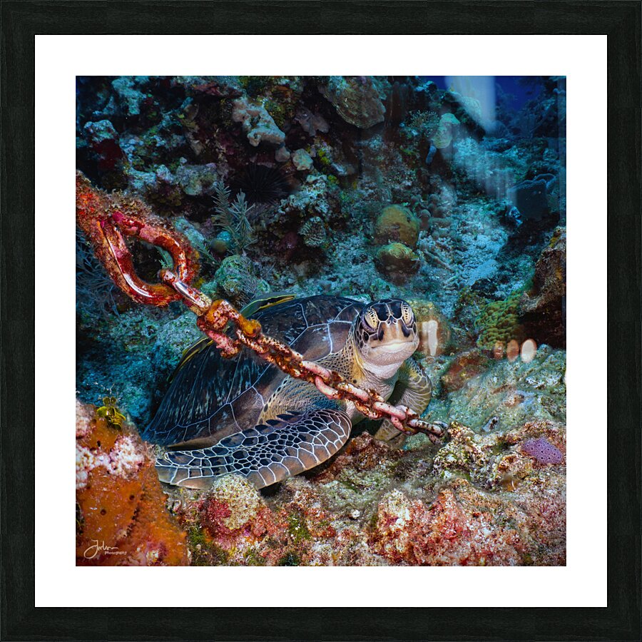 Chained Picture Frame print