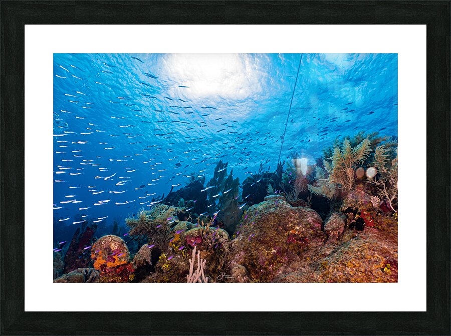 Reefscape  2 Picture Frame print