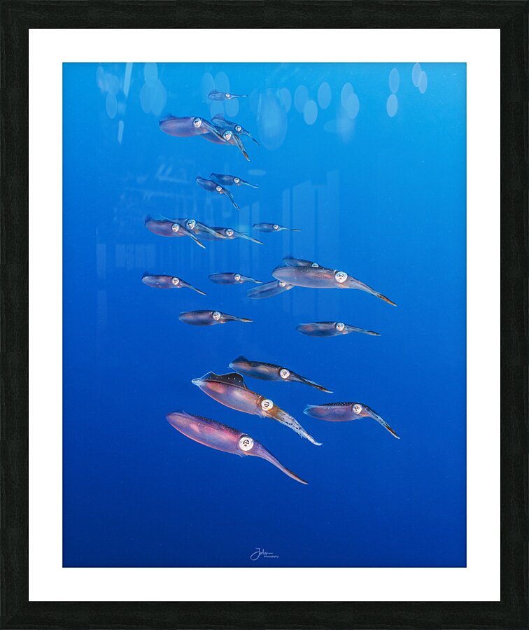 Squid Squad Picture Frame print