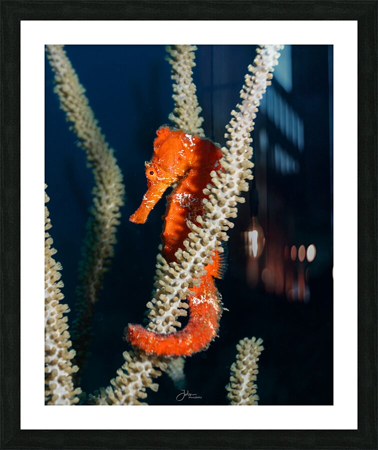 Holding On Picture Frame print