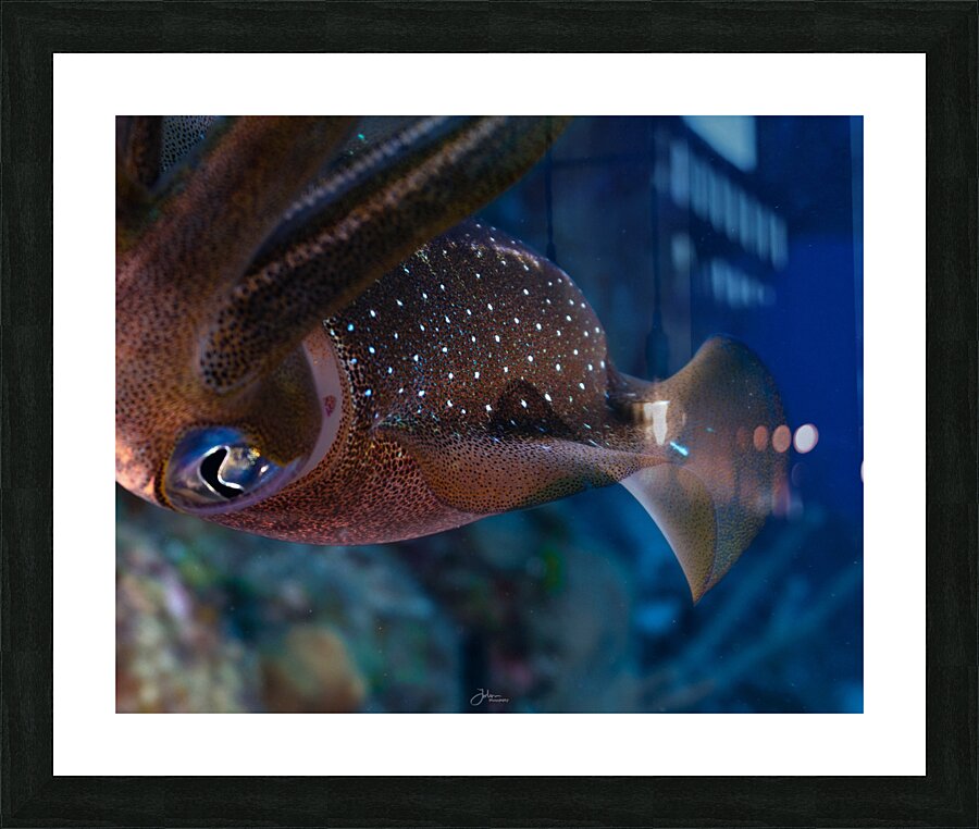 Alien Encounters Picture Frame print