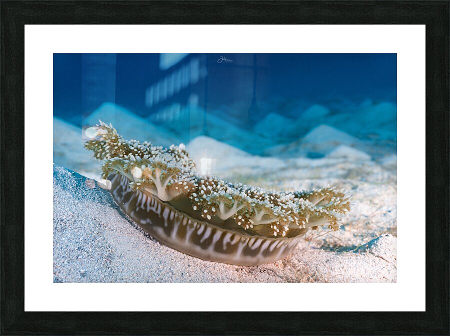 Upside Down Jelly Picture Frame print