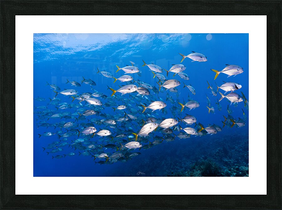 Jack School Picture Frame print