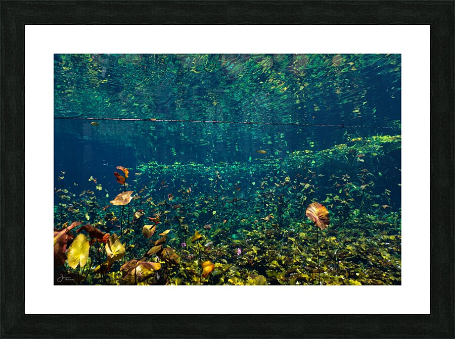 Fallen Leaves Picture Frame print