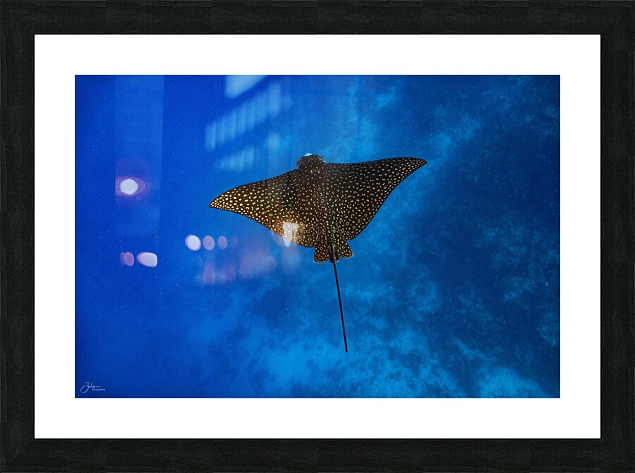 Aerial Picture Frame print
