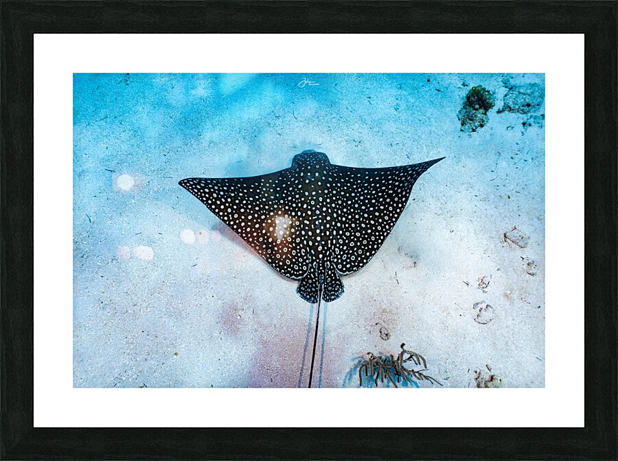 Speckled Picture Frame print