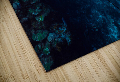 Wall Gliding Ray Landscape deepseawilson puzzle