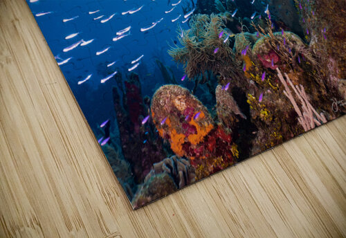 Reefscape  2 deepseawilson puzzle