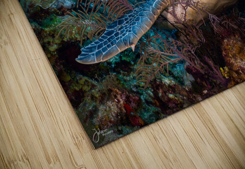 Reef Hug deepseawilson puzzle