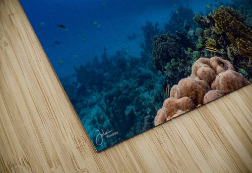 Reefscapes  1 deepseawilson puzzle