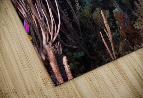 Angel Pairing deepseawilson puzzle
