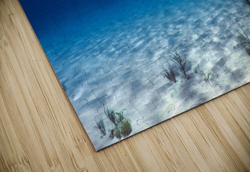 Sand Flats deepseawilson puzzle