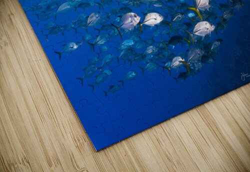 Jack School deepseawilson puzzle