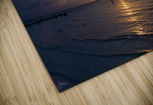 Dusky Holbox deepseawilson puzzle