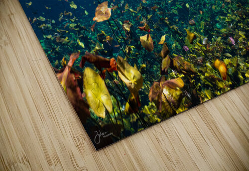 Fallen Leaves deepseawilson puzzle