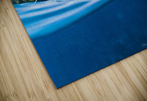 Ocean Portal deepseawilson puzzle