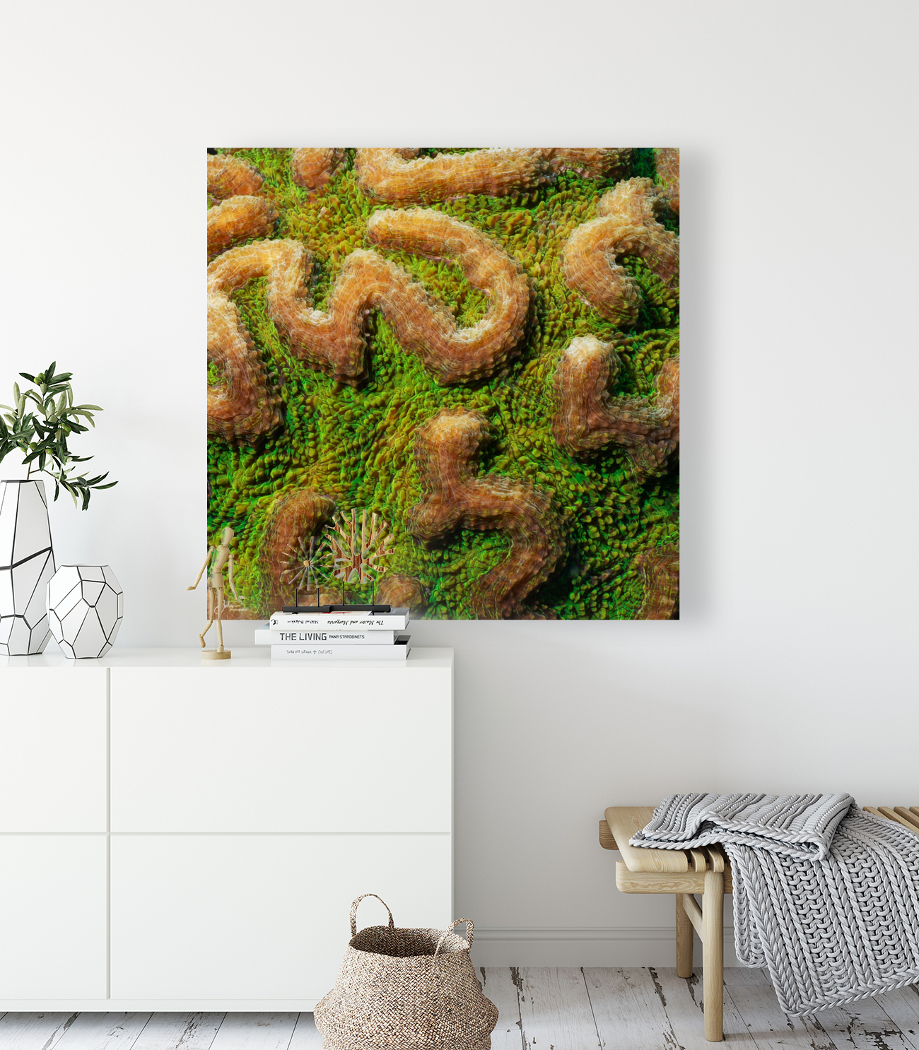 The Maze Reproduction