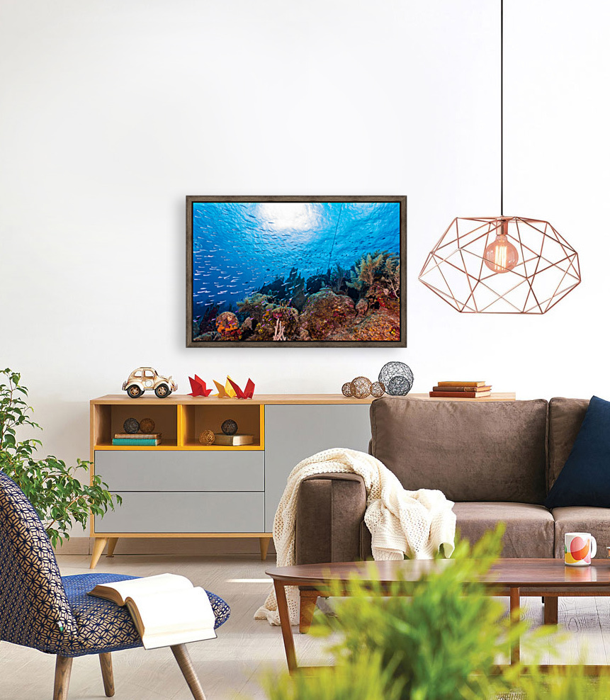 Reefscape  2 Reproduction