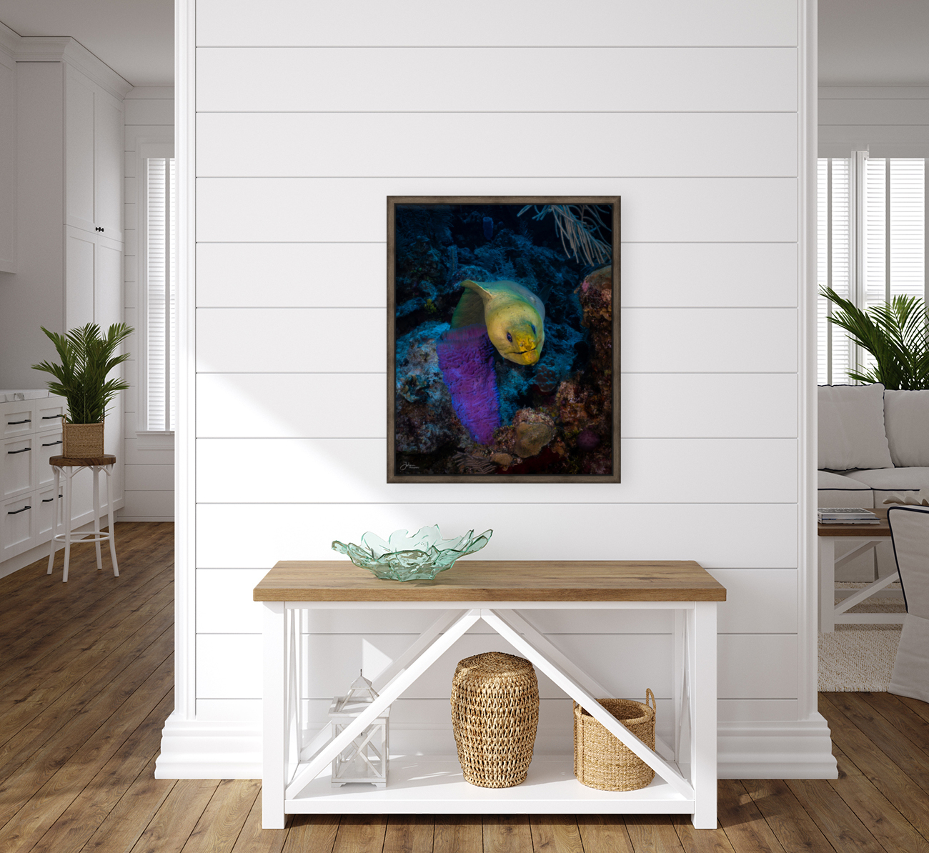 Neon Eel Reproduction