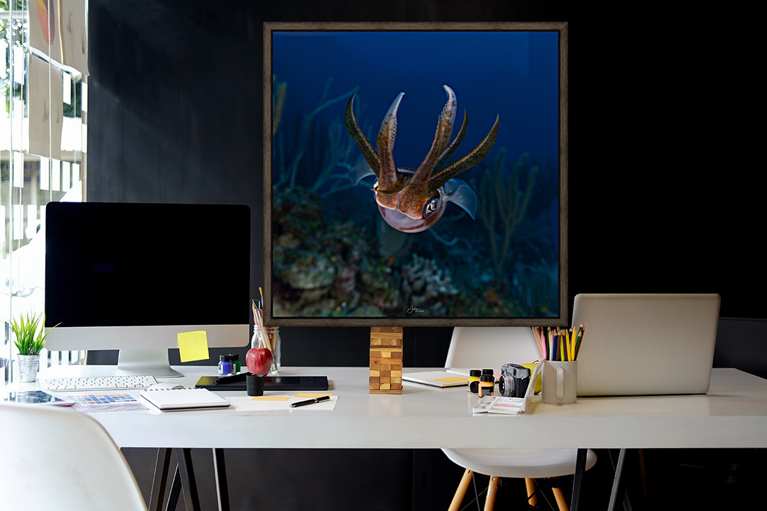Kid Squid Reproduction