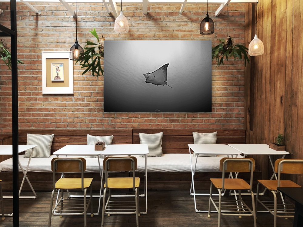 B & W Eagle Ray Reproduction