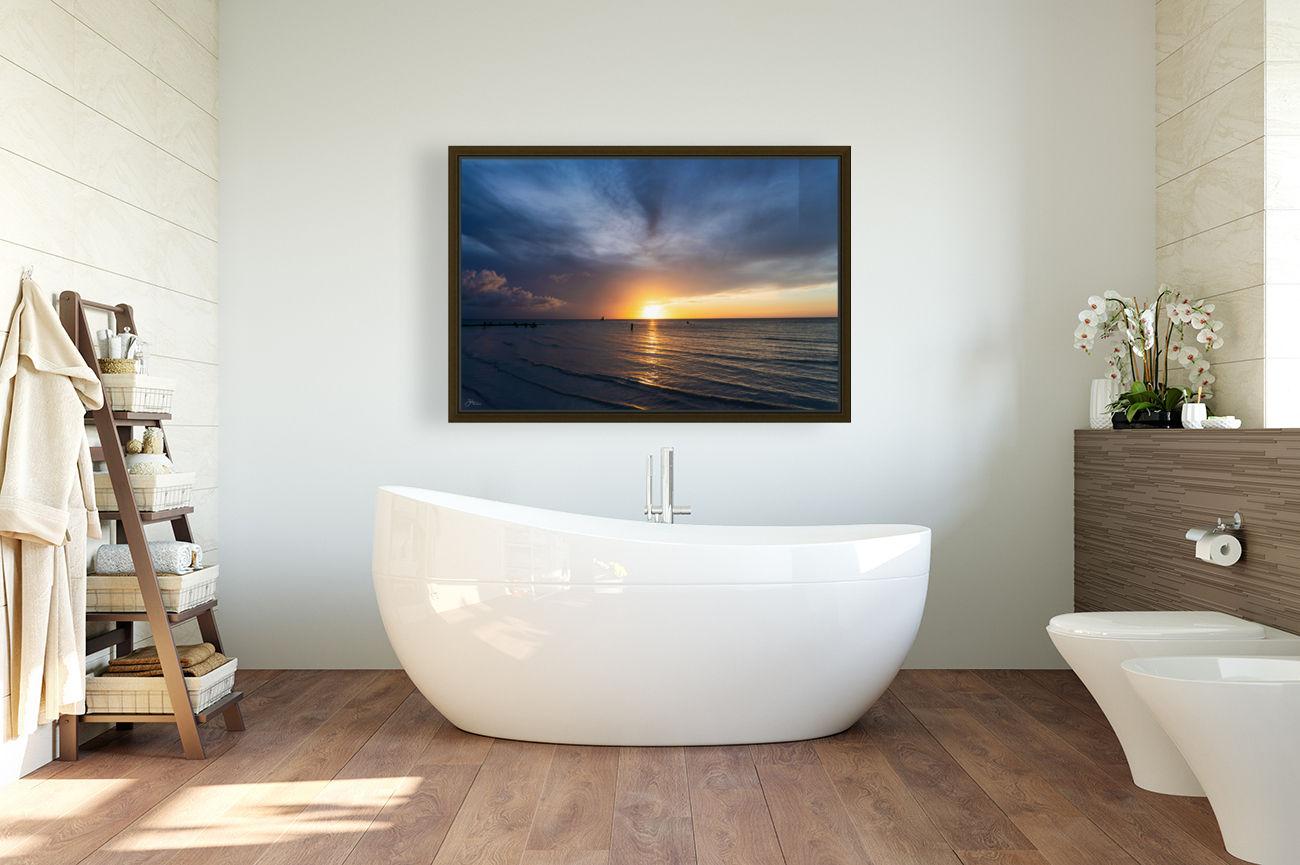Dusky Holbox Reproduction