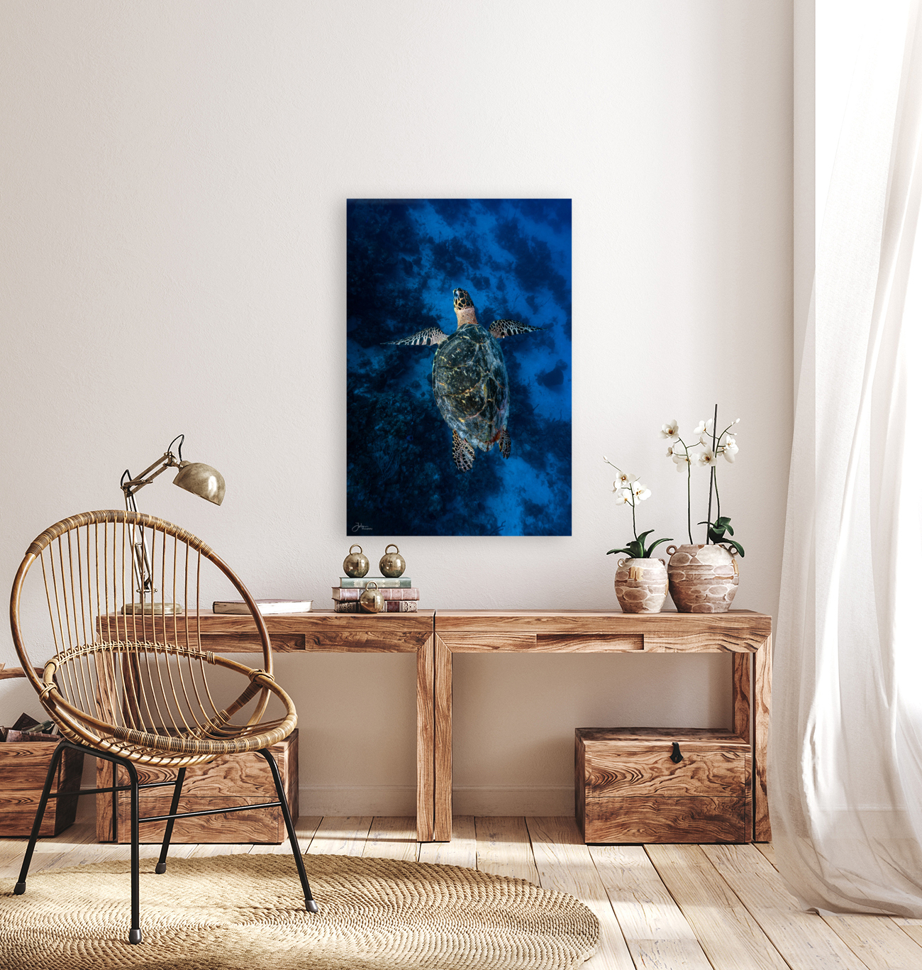 Deep Hawksbill Reproduction